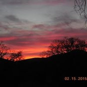 Mona Sloan's photo