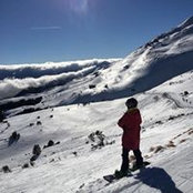 Photo de Erion Cafshi