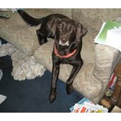 Bill Chandler's photo