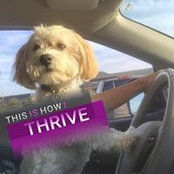 Kim Weiler's photo
