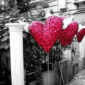 Emma Wang's photo