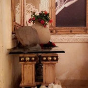 Hadeel Lllaaa's photo