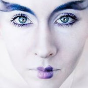Shai Lundgrens foto