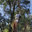 Friendly Tree Service