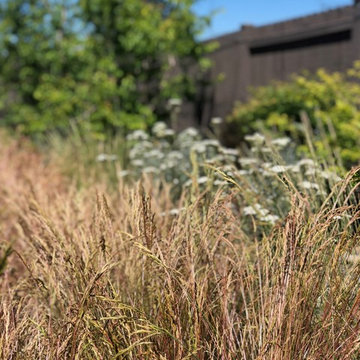 Private Botanical Garden - Old Farm District, Bend, Oregon