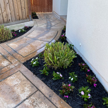 Our Work