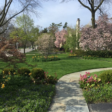 A riot of spring color