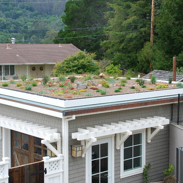 Green Roof Garage for Growing Family