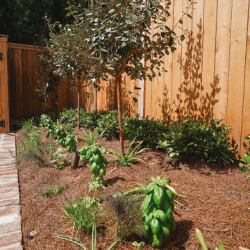 Carondelet Street Garden | Layered Privacy Border