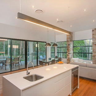 Mid-sized contemporary kitchen pantry designs - Mid-sized trendy l-shaped light wood floor kitchen pantry photo in Sunshine Coast with a double-bowl sink, white cabinets, granite countertops, white backsplash, glass sheet backsplash, stainless steel appliances and an island
