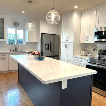 White and Blue Modern Kitchen