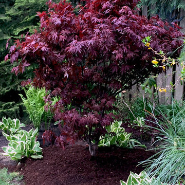 Updating the Existing