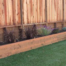 Landscape Ideas