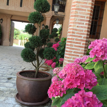 Proyecto paisajismo Finca en Toledo