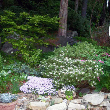 Woodland Gardens