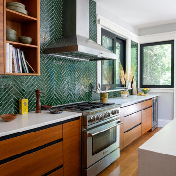 Observatory Hill Modern Victorian