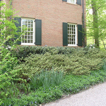 Woodland Summit Garden