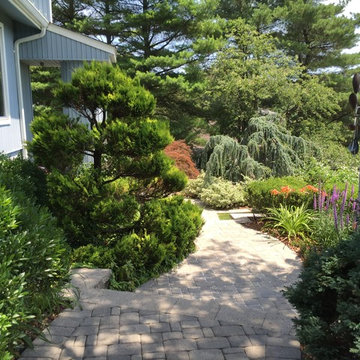 Lush Landscape