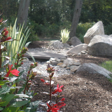 Dry Stream Beds