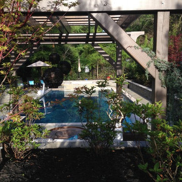 Davidson Pool Oasis