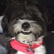 Foto von Piper Moller