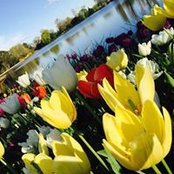 Meraj Qamaruddin's photo