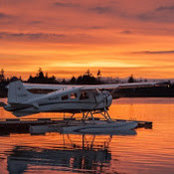 Curtis Luxton's photo