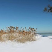 Suzanne Major's photo