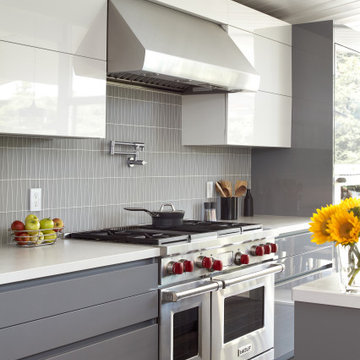 Eichler Refreshed & Remodel