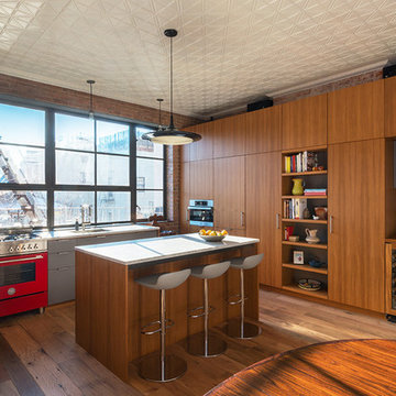 Carroll Gardens duplex renovation