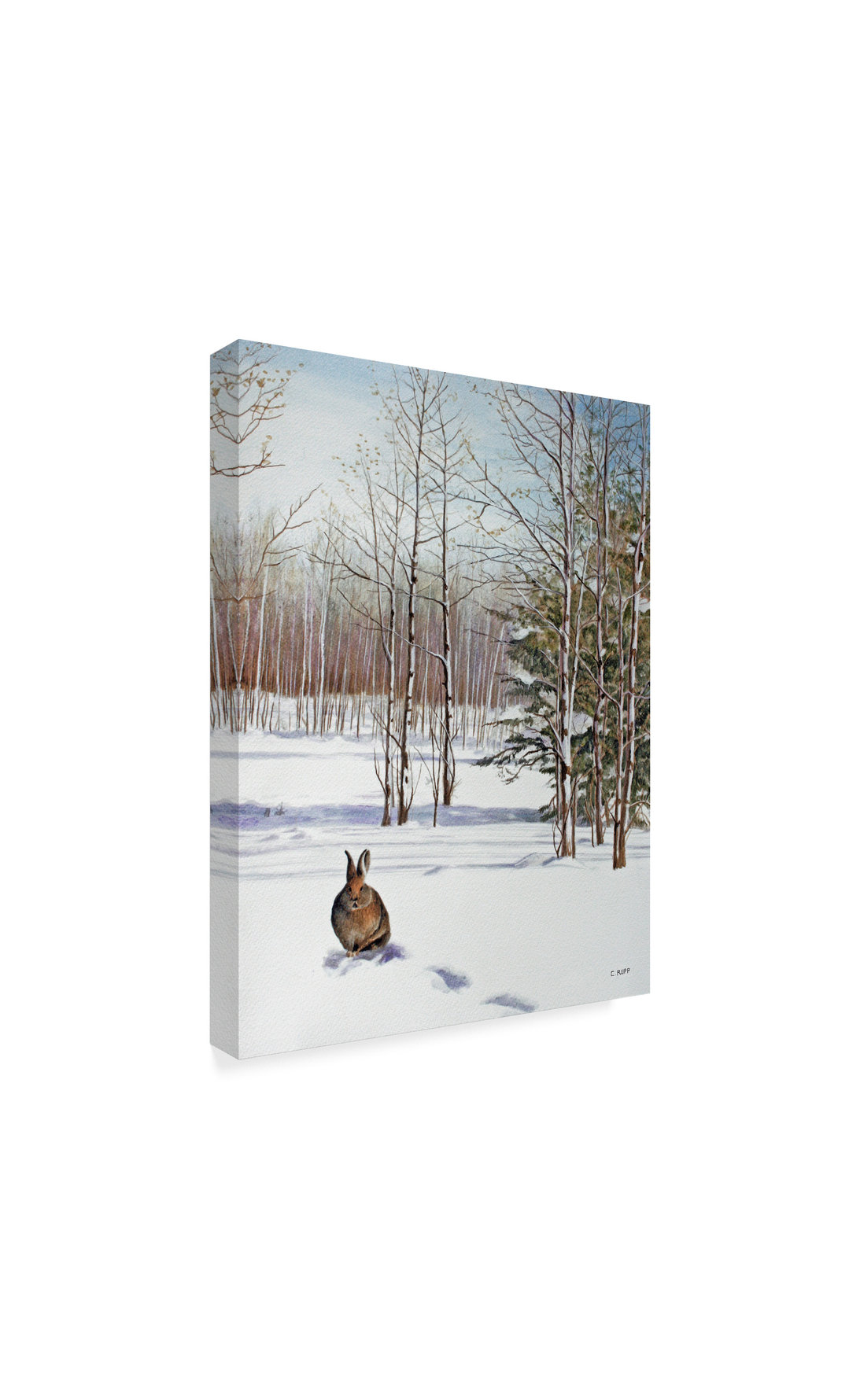Carol J Rupp 'Winter Rabbit' Canvas Art, 18
