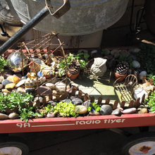 Backyard - FAIRY MINI GARDENS