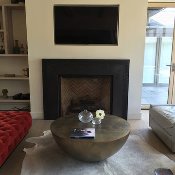 Fire place inserts and screens