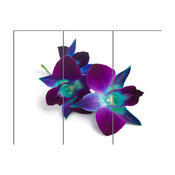 "Deep Purple Orchid Flowers on White" Metal Art, 3 Panels, 36"x28"