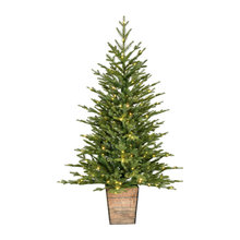 Christmas Trees Under 6 ft.