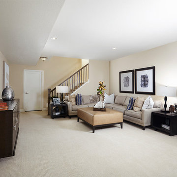 Hopewell model home in Colorado