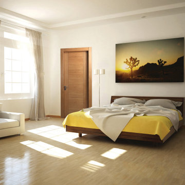 Interior Doors