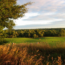 farm