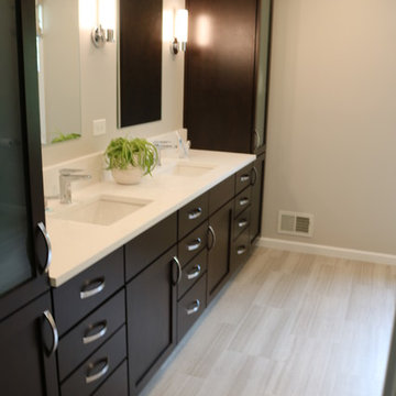 Lilac Way, Skillman Master Bathroom Renovation
