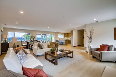 Desert View Project (Remodel)