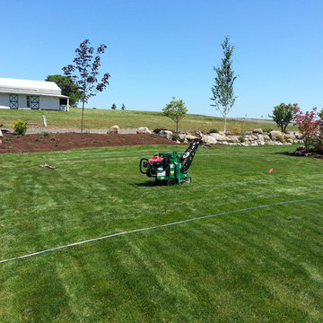 HOUZZ SUCCESS-STORY! PLANT BARE-ROOT TREES & SHRUBS IN BEST LANDSCAPE MAKEOVERS