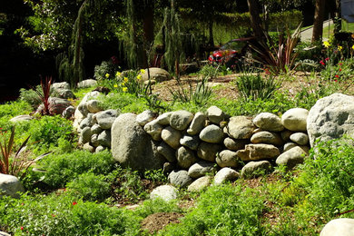 Photo of a garden in Los Angeles.