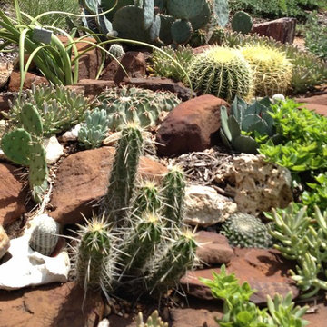 Various Xeriscapes by Team Rhinamic
