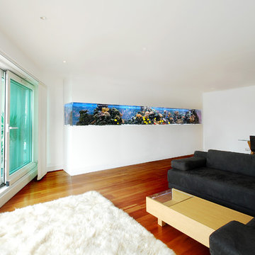 Aquarium Architecture