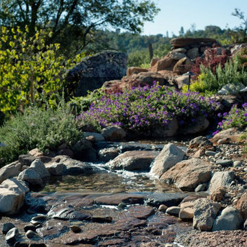 Water Falls, Ponds and Streams