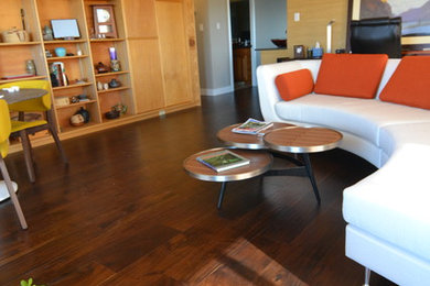 Example of a 1960s living room design in Denver