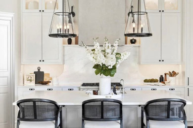 Kitchen - transitional kitchen idea in Dallas