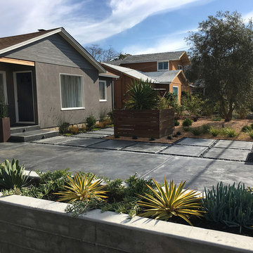 Contemporary Landscape - Dramatic Transformation - San Rafael, CA