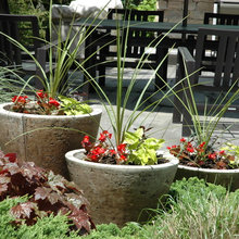 backyard ideas