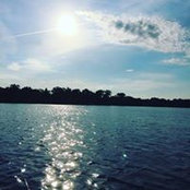 Ed le Gardens's photo